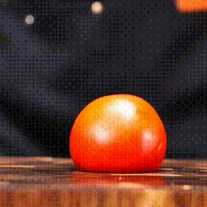 Couteau Damas Jacques Morel